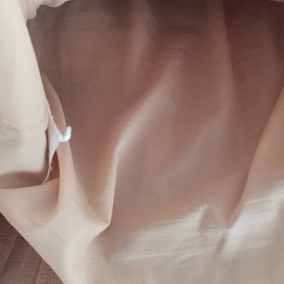 BCBG nude ruffle skirt( very Sex and the City SJP) - Picture 5 of 6